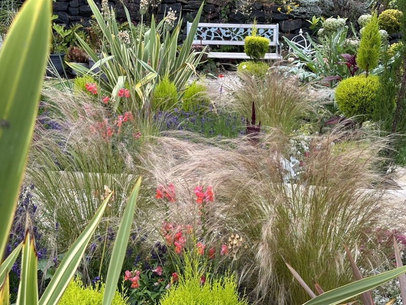 Other image for Barnsley’s Best Garden: Artist’s touch ensures beautiful transformation